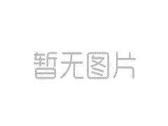 巴基斯坦专家和学者：中国表演万隆的精神，并